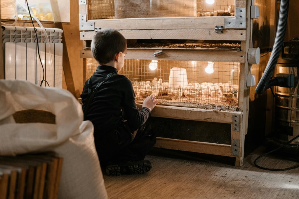 Waarom borotto broedmachines en warmtematten essentieel zijn voor een optimale broedomgeving 